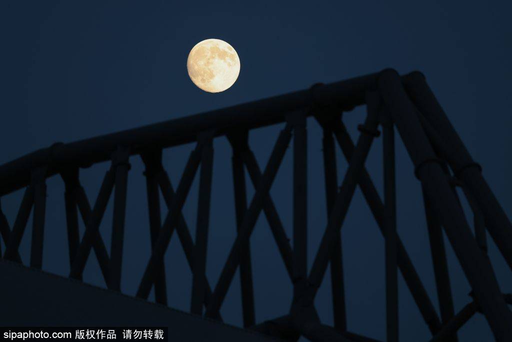 哈曼：维尔茨在利物浦的未来堪忧，适应迟缓或将影响职业生涯